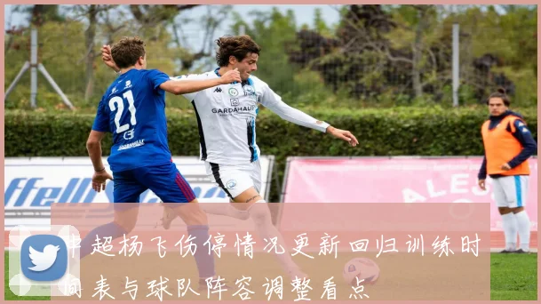 中超杨飞伤停情况更新回归训练时间表与球队阵容调整看点