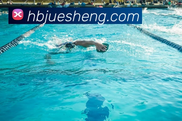 leyu官网入口品牌故事