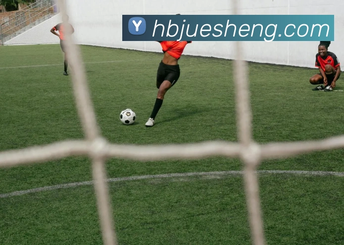 leyu官网入口服务体系